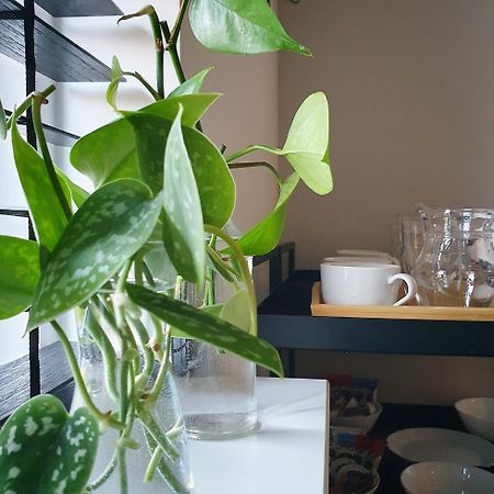 Bed And Breakfast 'Wij En De Zande' Kamperveen エクステリア 写真