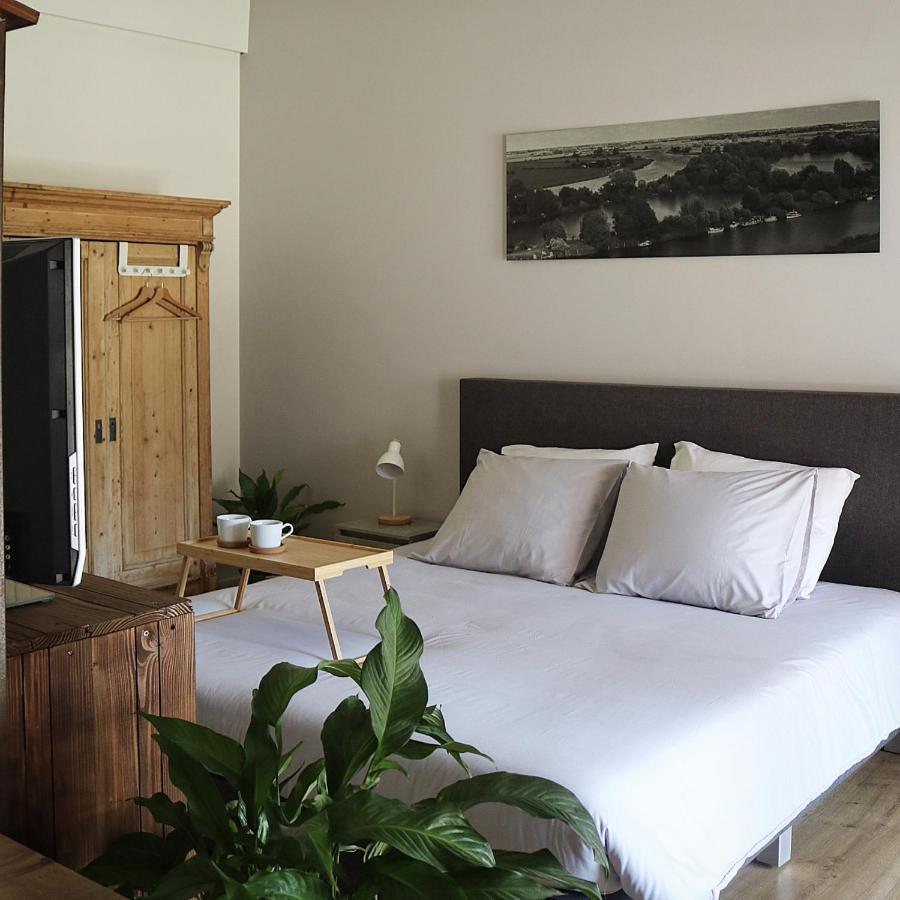 Bed And Breakfast 'Wij En De Zande' Kamperveen エクステリア 写真